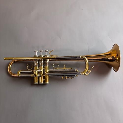 KAWAI JEWEL 【未調整特価】