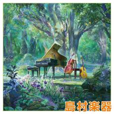 TORAY K1919P-GREEN Evergreen Project 楽器用クリーニングクロス