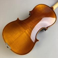 Grazioso GV-1H 1/2_5
