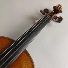 FerecBelaVaci CDM-R_3