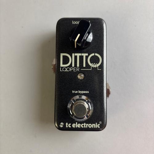 tc electronic Ditto Looper