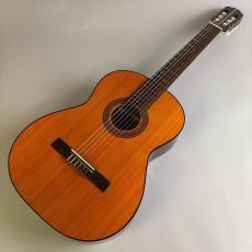 ARIA Akagi Guitar No65_2