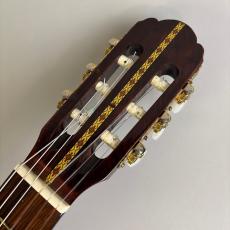 ARIA Akagi Guitar No65_4
