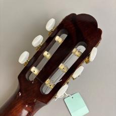 ARIA Akagi Guitar No65_8