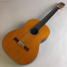 Takamine PT310_2