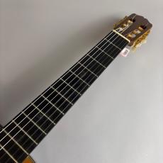 Takamine PT310_3