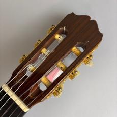 Takamine PT310_4