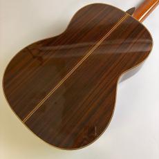 Takamine PT310_5