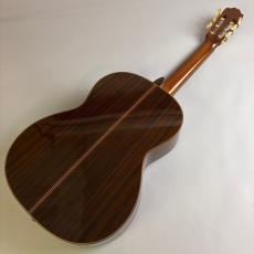Takamine PT310_6