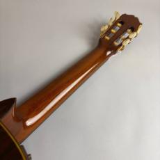 Takamine PT310_7