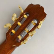 Takamine PT310_8