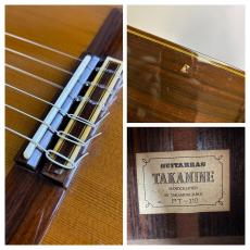 Takamine PT310_10