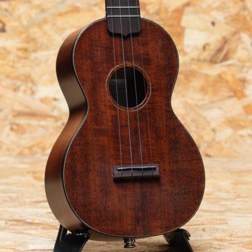 Martin Centennial Concert 2020's