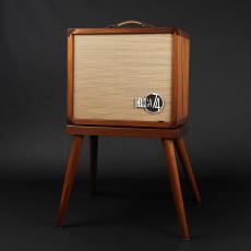 Taylor Circa 74 AV150-10 Acoustic Amp and Vocal System / Mahogany with stand【出力150w】