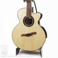 Water Road Guitars Deep Arte Fanfret (Honduran Rosewood)【デモ動画掲載】