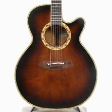 Takamine  DSP530 *2000