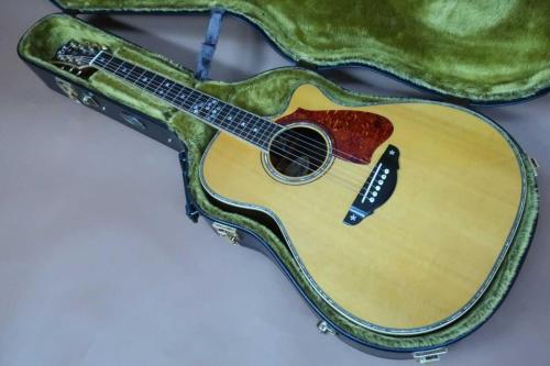 Terry's Terry TM-100 Cutaway Special Custom /　Venetian Cutaway・” 桜吹雪 “ Head and Fingerboard and Bridge Inlay・Abalone Trim・Solid Spruce Top・Solid Indian Rosewood Side and Back・Tortoiseshell Pick-guard【With Original