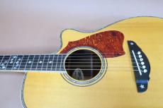 Terry's Terry TM-100 Cutaway Special Custom /　Venetian Cutaway・” 桜吹雪 “ Head and Fingerboard and Bridge Inlay・Abalone Trim・Solid Spruce Top・Solid Indian Rosewood Side and Back・Tortoiseshell Pick-guard【With Original_13