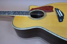 Terry's Terry TM-100 Cutaway Special Custom /　Venetian Cutaway・” 桜吹雪 “ Head and Fingerboard and Bridge Inlay・Abalone Trim・Solid Spruce Top・Solid Indian Rosewood Side and Back・Tortoiseshell Pick-guard【With Original_14