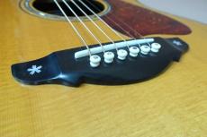 Terry's Terry TM-100 Cutaway Special Custom /　Venetian Cutaway・” 桜吹雪 “ Head and Fingerboard and Bridge Inlay・Abalone Trim・Solid Spruce Top・Solid Indian Rosewood Side and Back・Tortoiseshell Pick-guard【With Original_15