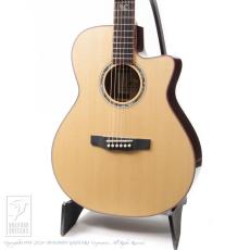 Morris S-101 Ver.III Custom