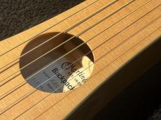 Martin 【USED】 Backpacker Steel String [2023年製] _7