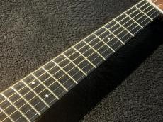 Martin 【USED】 Backpacker Steel String [2023年製] _8