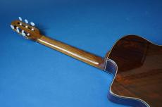 Stringphonic Classic 14D_5