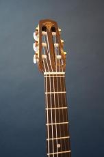 Stringphonic Classic 14D_6