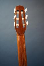 Stringphonic Classic 14D_7