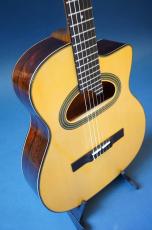 Stringphonic Classic 14D_8