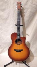 YAMAHA APX-4A-SPL