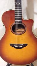 YAMAHA APX-4A-SPL_2