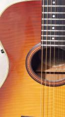 YAMAHA APX-4A-SPL_3