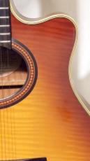 YAMAHA APX-4A-SPL_4