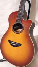 YAMAHA APX-4A-SPL_6