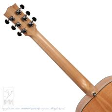 Maton RM808_7