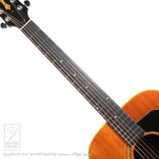 Guild D-50 _5