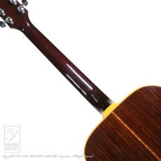 Guild D-50 _6