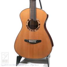 Bulbul Guitars Model S (Sooty Headed Bulbul)【サウンドメッセin大阪 2026出展作品】