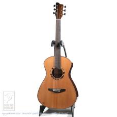 Bulbul Guitars Model S (Sooty Headed Bulbul)【サウンドメッセin大阪 2026出展作品】_2
