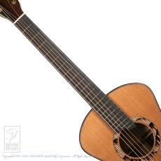 Bulbul Guitars Model S (Sooty Headed Bulbul)【サウンドメッセin大阪 2026出展作品】_5