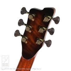 Bulbul Guitars Model S (Sooty Headed Bulbul)【サウンドメッセin大阪 2026出展作品】_8