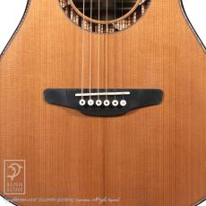 Bulbul Guitars Model S (Sooty Headed Bulbul)【サウンドメッセin大阪 2026出展作品】_10