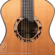 Bulbul Guitars Model S (Sooty Headed Bulbul)【サウンドメッセin大阪 2026出展作品】_11