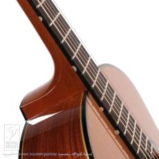 Bulbul Guitars Model S (Sooty Headed Bulbul)【サウンドメッセin大阪 2026出展作品】_13
