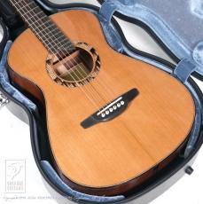 Bulbul Guitars Model S (Sooty Headed Bulbul)【サウンドメッセin大阪 2026出展作品】_14