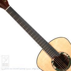Bulbul Guitars Model R (Whiskered Bulbul)【サウンドメッセin大阪 2026出展作品】_5