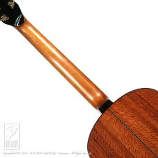 Bulbul Guitars Model R (Whiskered Bulbul)【サウンドメッセin大阪 2026出展作品】_6