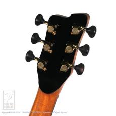 Bulbul Guitars Model R (Whiskered Bulbul)【サウンドメッセin大阪 2026出展作品】_8